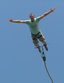 bungee