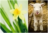 MARCH - dates for your diary