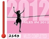 2012 Miles in 2012 target smashed 2012 Miles in 2012 target smashed