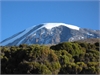 Kilimanjaro (c) Tribes Travel